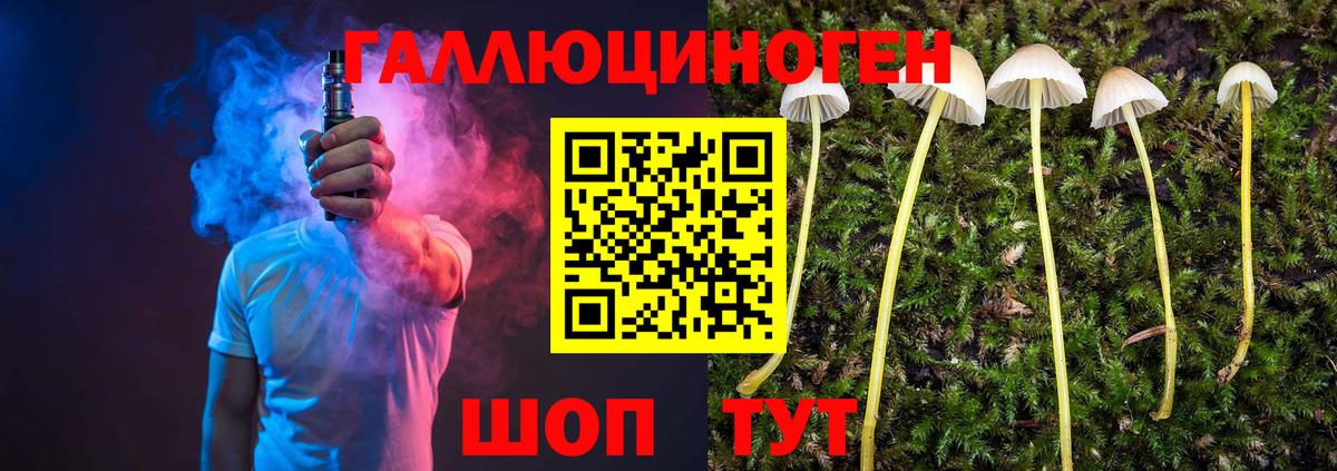 Псилоцибиновые грибы Magic Shrooms  Вход с VPN  Галлюциногенные грибы Magic Shrooms  Елизово 